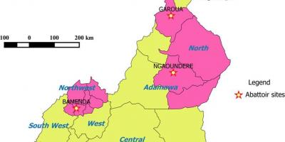 카메룬 보여주는 지역 지도