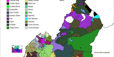 지도 카메룬 언어